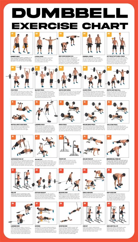 Dumbbell Workout Printable